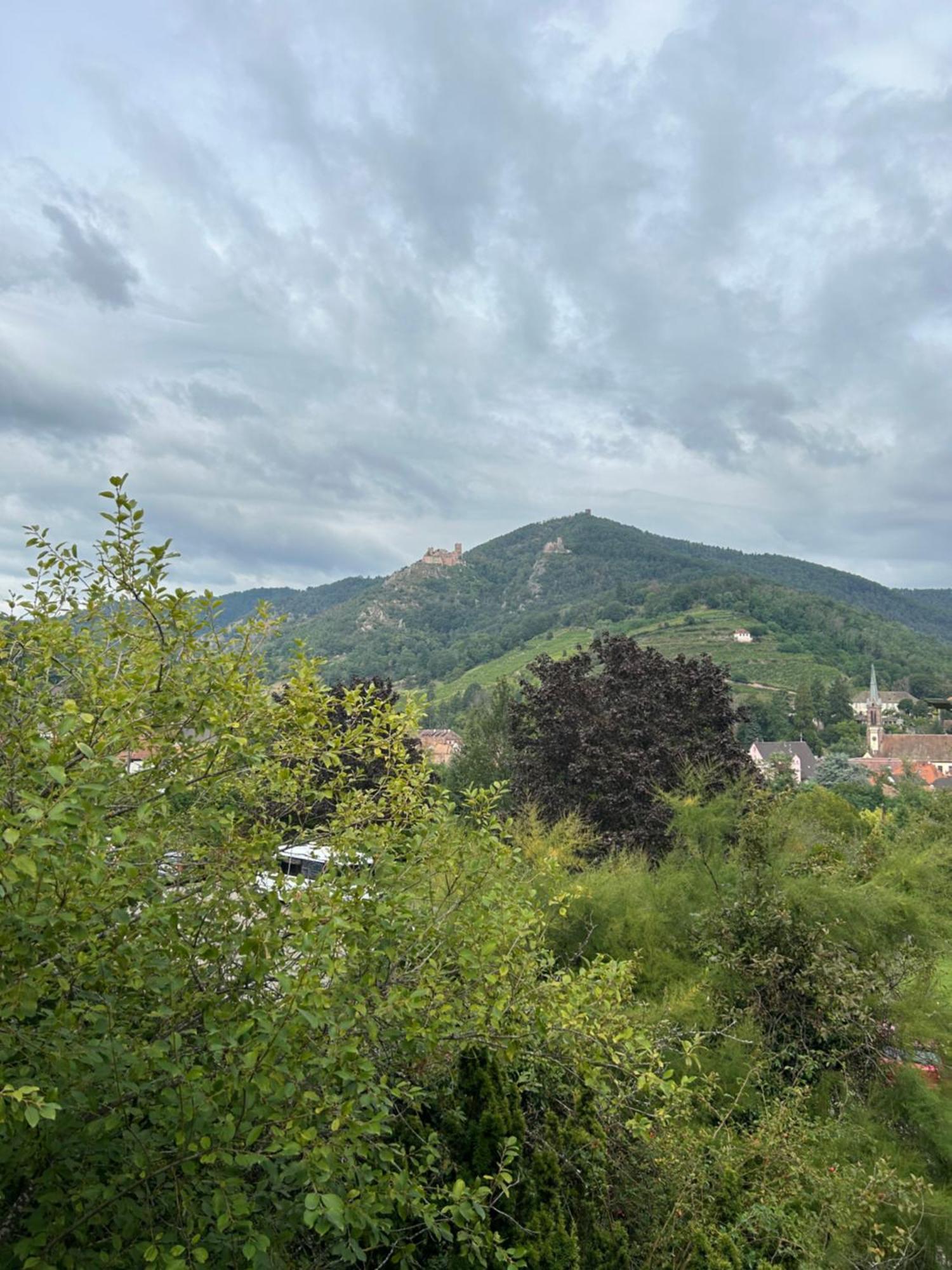 Vue Magnifique Sur Les Chateaux Ribeauvillé Eksteriør bilde